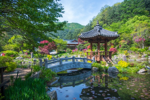 꽃구경 명소 가평