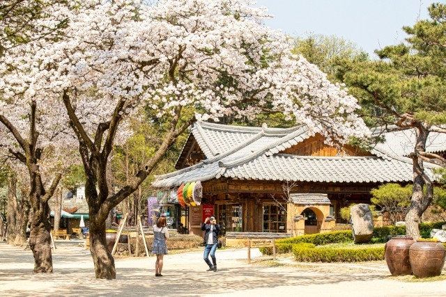 꽃구경 명소 가평