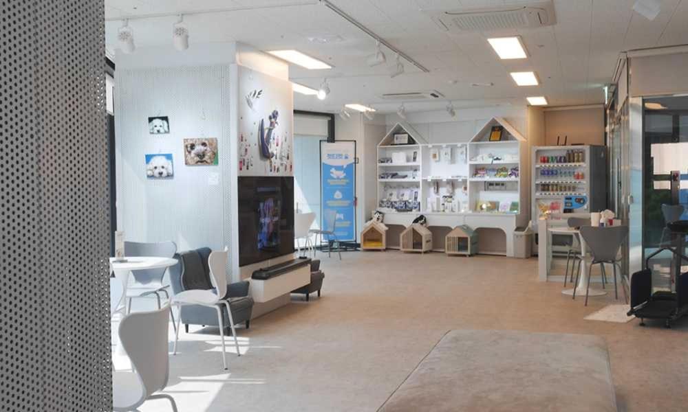 해운대영무파라드호텔, 부산 여행, 부산 해운대 호텔, 해운대 숙소 추천, 해운대영무파라드호텔 애견동반