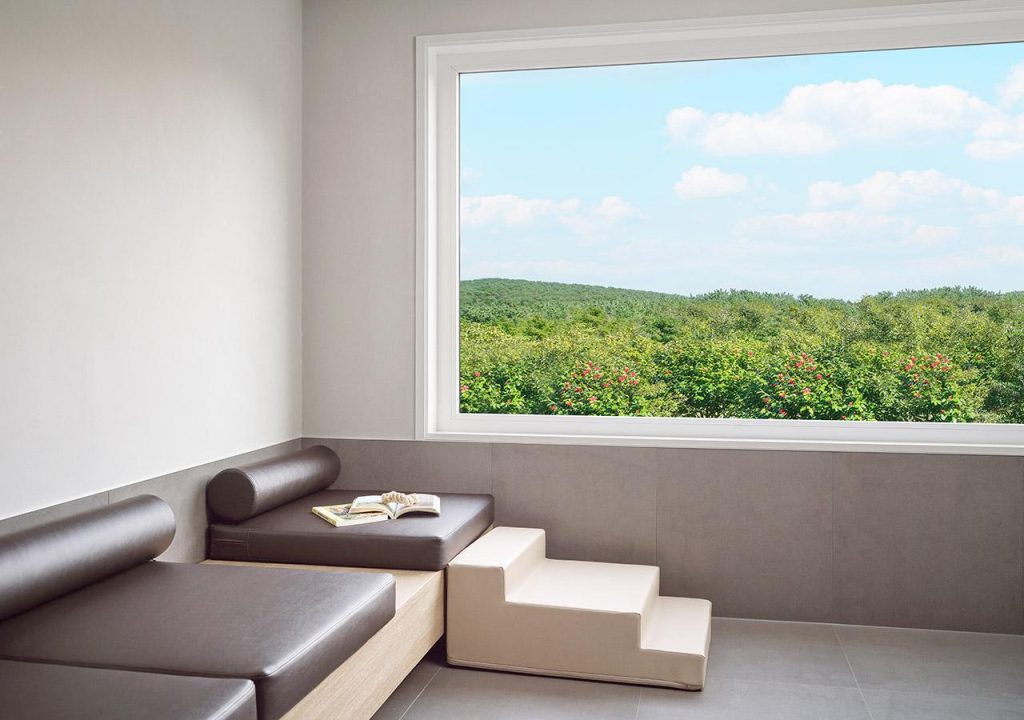 제주도애견동반숙소, 제주도 강아지 숙소, 제주 애견동반 여행, 제주도 강아지 여행, 제주도 숙소 추천
