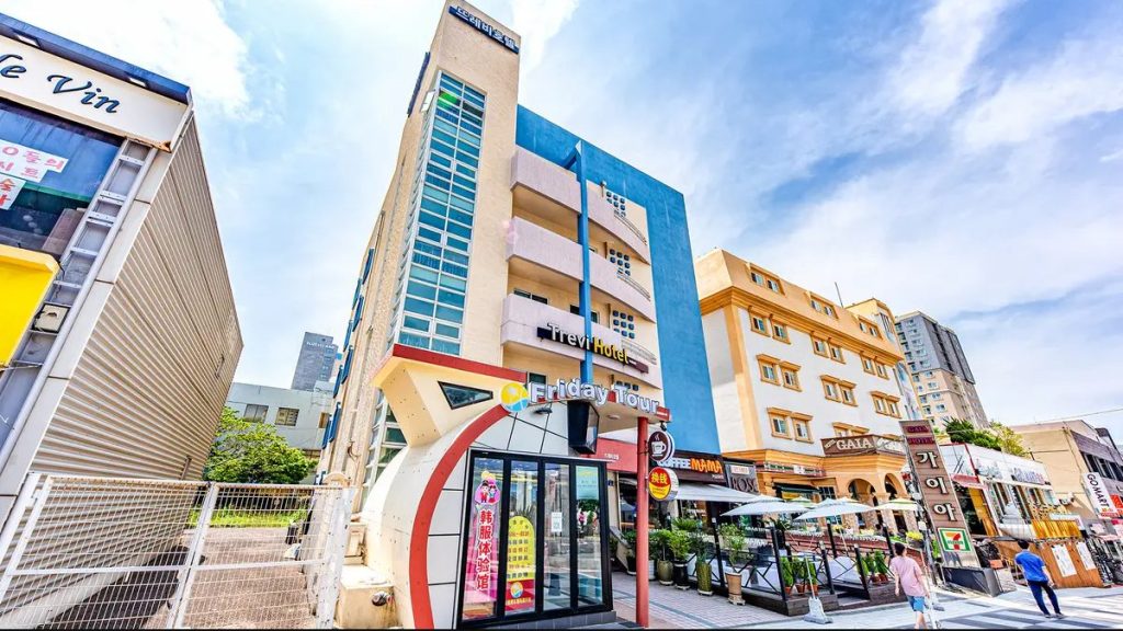제주도애견동반숙소, 제주도 강아지 숙소, 제주 애견동반 여행, 제주도 강아지 여행, 제주도 숙소 추천