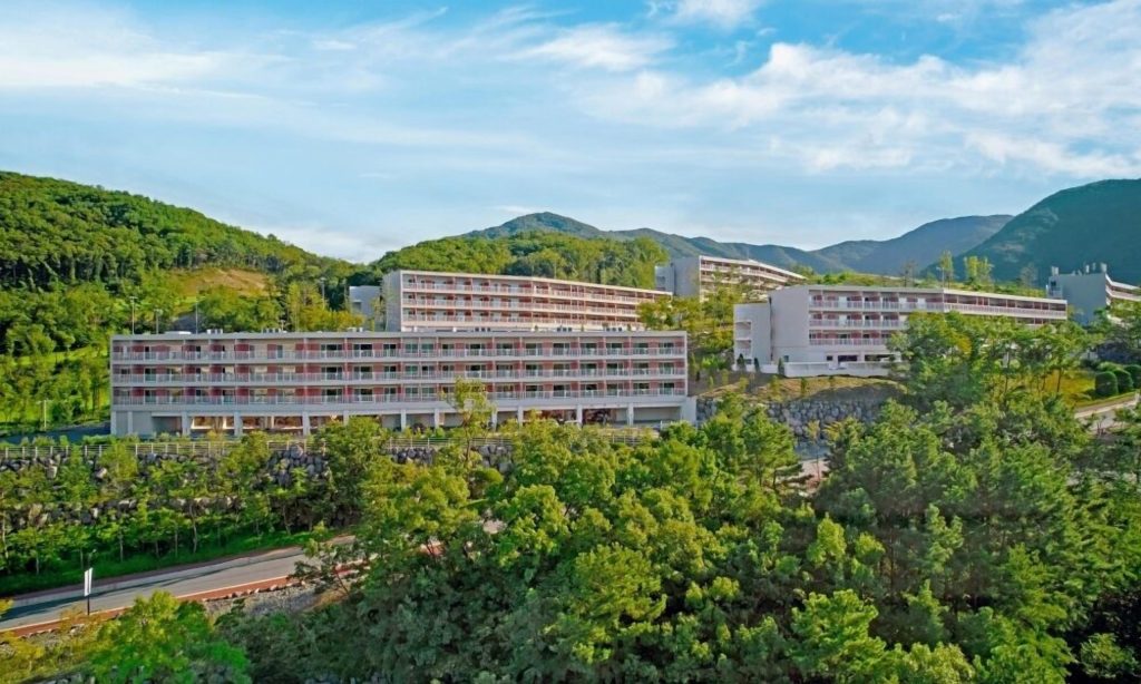 벨포레리조트, 벨보레 리조트 35평, 벨포레 리조트 수영장, 증평 숙소 추천, 증평 가족여행