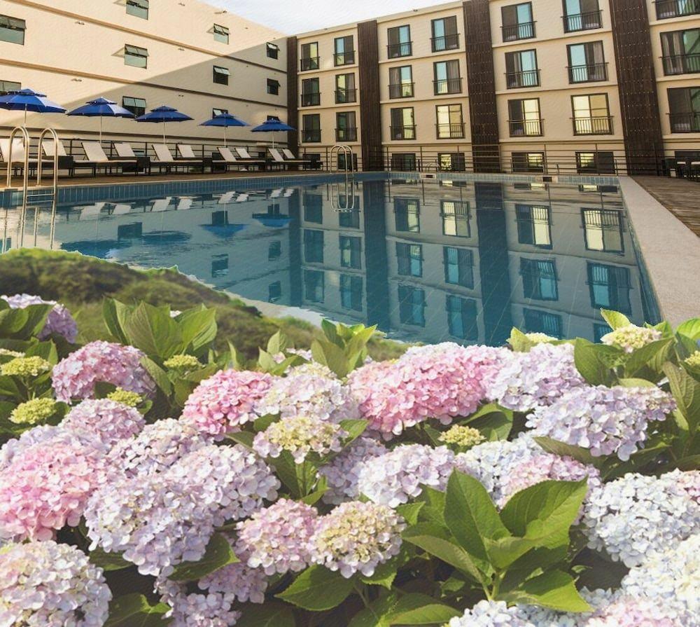 제주동쪽숙소, 제주 동쪽 가성비 숙소, 제주 여행, 제주 가성비 호텔, 제주 동쪽 호텔 추천