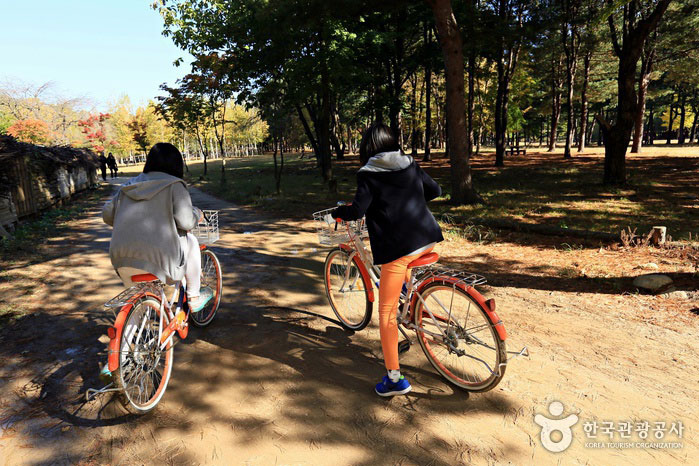 9월 10월 국내여행지 추천