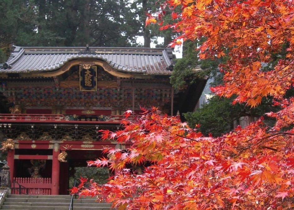 카메노이호텔닛코