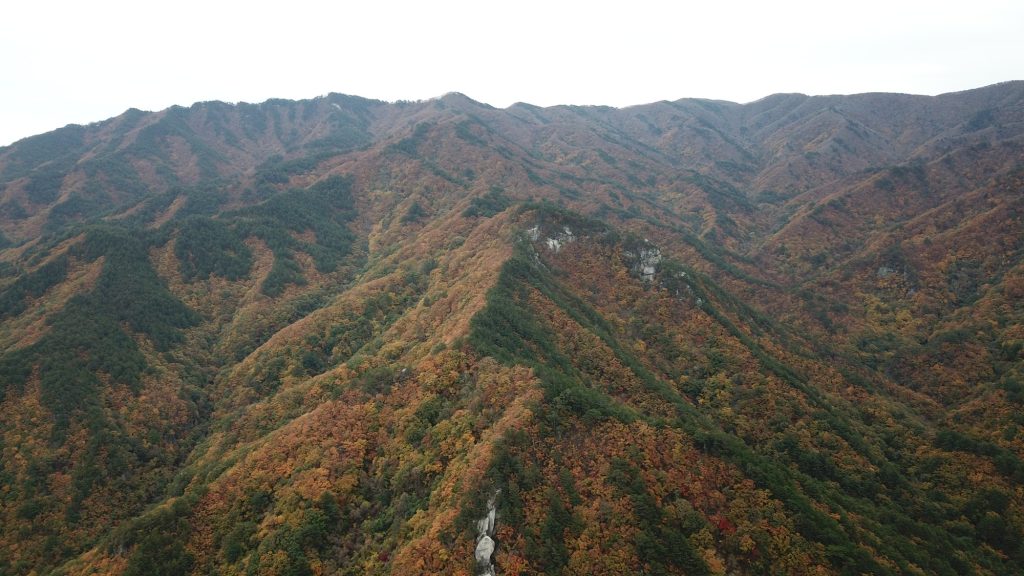 국립공원있는국내여행지추천