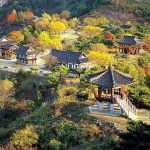 제천숙소