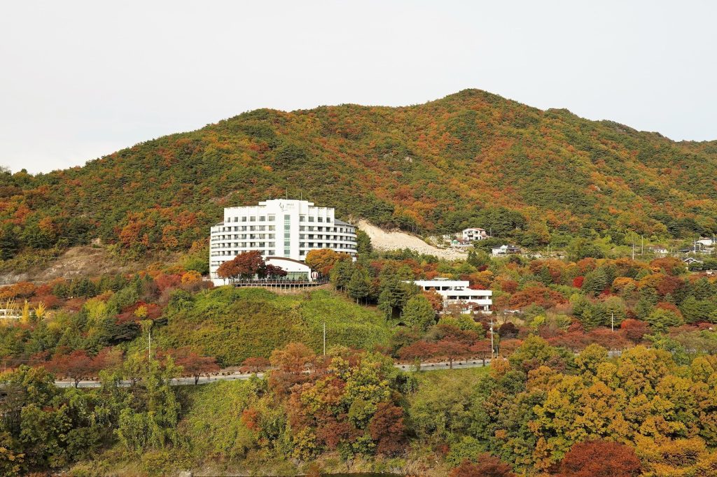제천숙소