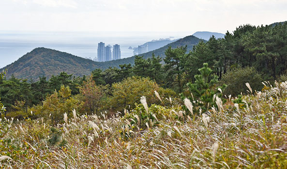 해운대썬클라우드