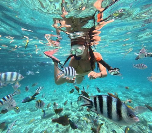 세부 즐길거리 TOP 4, 모험과 휴양의 완벽한 조화