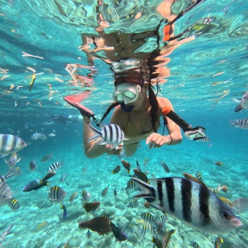 세부 즐길거리 TOP 4, 모험과 휴양의 완벽한 조화