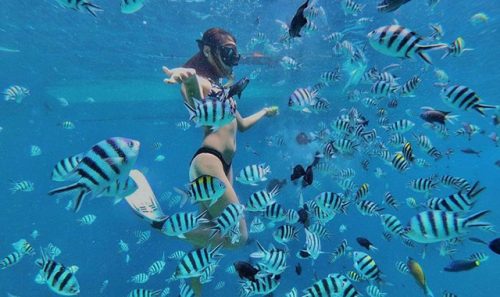 세부즐길거리, 하루가 순삭될 물놀이 액티비티 TOP 4