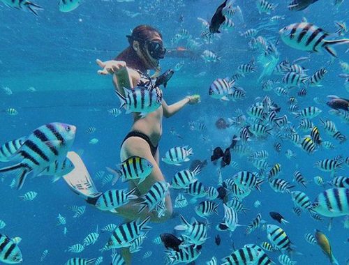 세부즐길거리, 하루가 순삭될 물놀이 액티비티 TOP 4