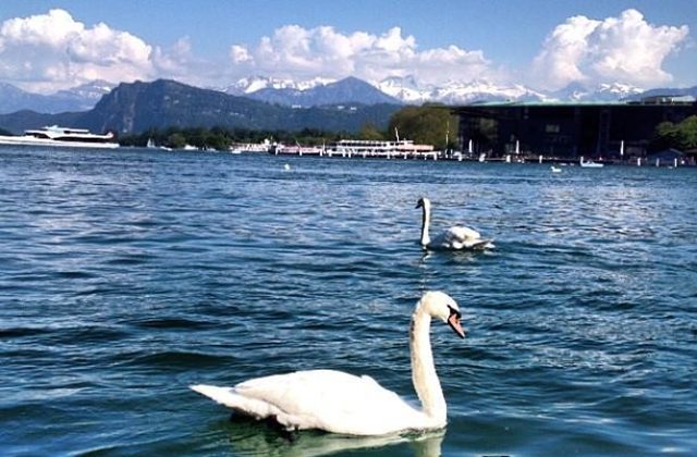 한국인이꼽은만족도높은해외여행지