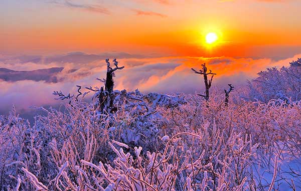 겨울여행, 설경, 무주여행