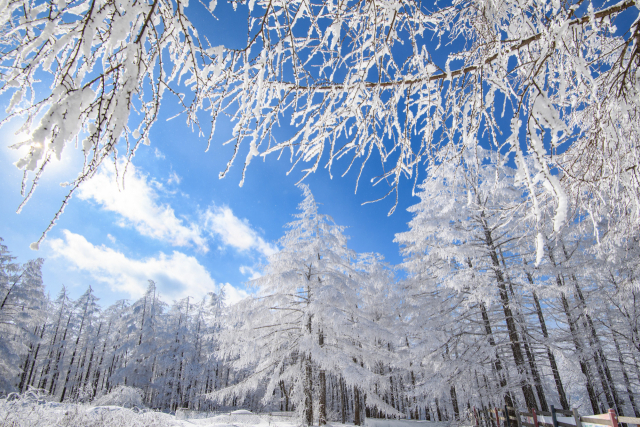 겨울여행, 설경