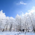 겨울여행, 설경