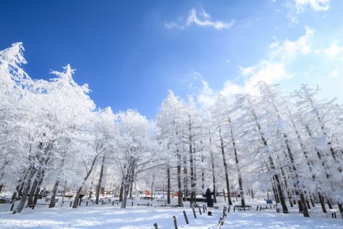 추위를 감내할 가치가 있는 국내눈구경여행지 TOP 4