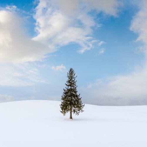 비에이후라노일일투어, 1초도 아깝지 않은 설경 투어