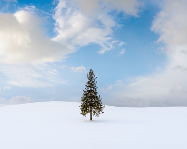비에이후라노일일투어, 1초도 아깝지 않은 설경 투어