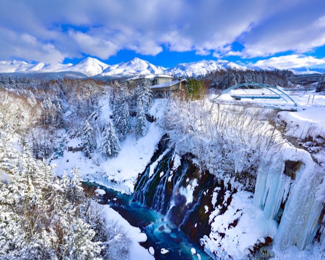 비에이후라노일일투어