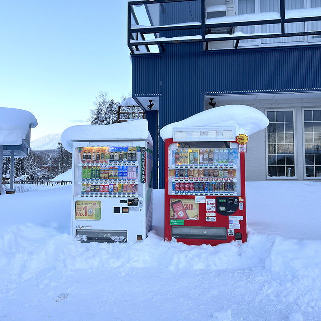 비에이후라노일일투어