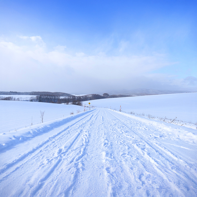 비에이후라노일일투어