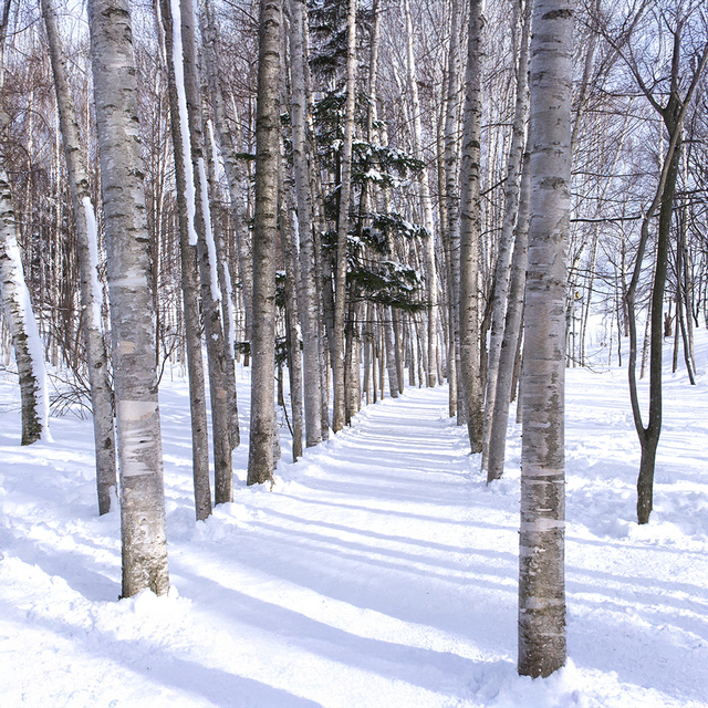비에이후라노일일투어