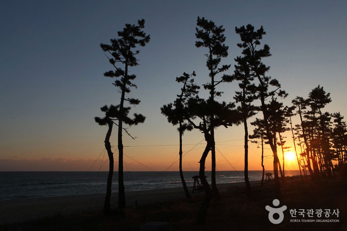 정동진썬크루즈