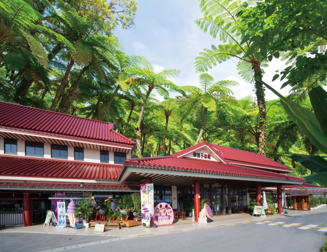 오키나와즐길거리