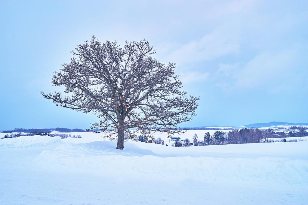 삿포로그랜드호텔