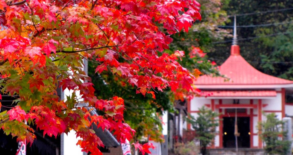 조잔케이스이잔테이