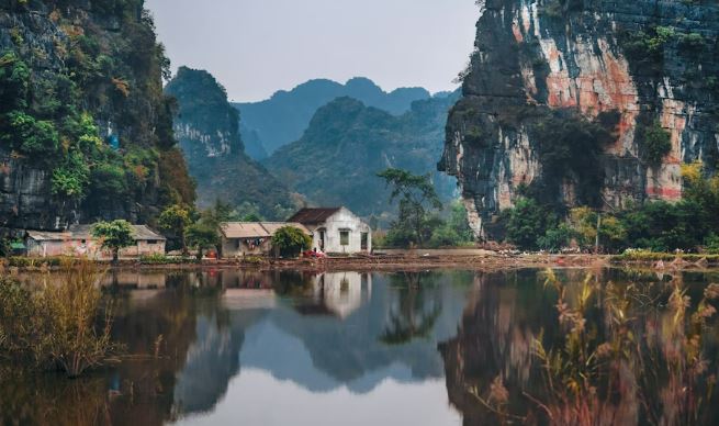 다낭네스타셀리아