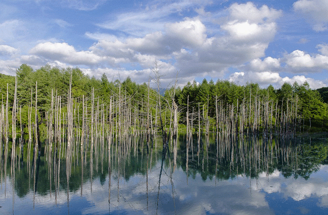 크로스호텔삿포로