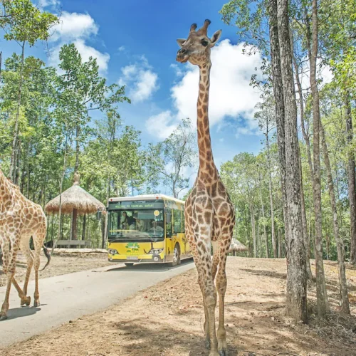 푸꾸옥빈원더스호텔추천, 아이랑 푸꾸옥 여행 숙소 추천 4