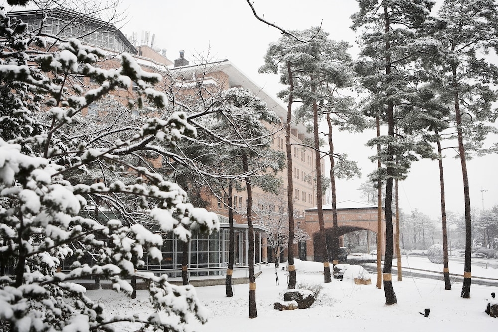 2월설연휴여행지추천