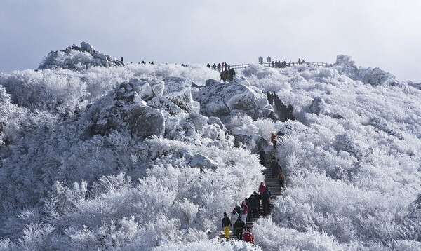 겨울 글램핑 여행지