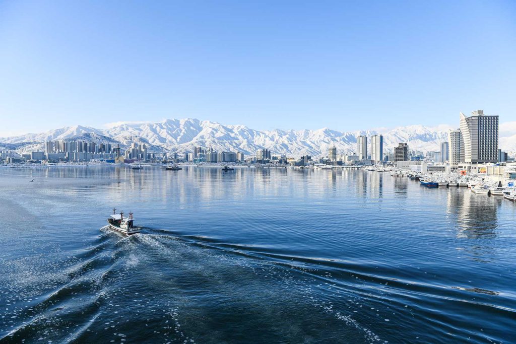 국내겨울혼자여행