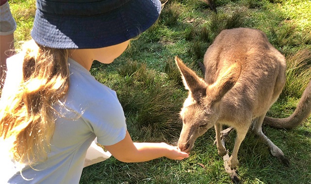 겨울에따뜻한해외여행지추천