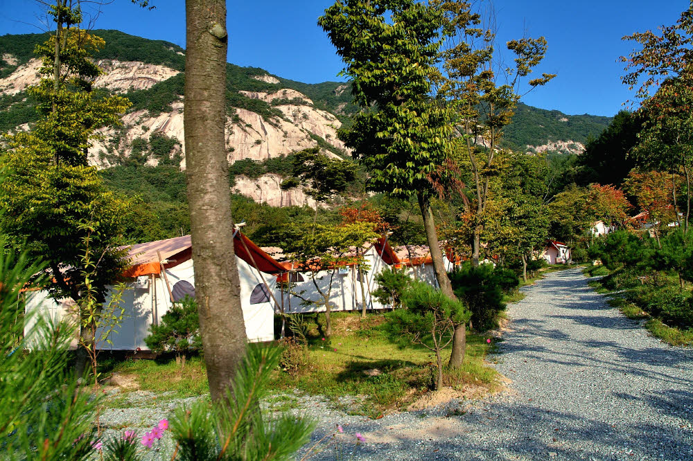 겨울 글램핑 여행지