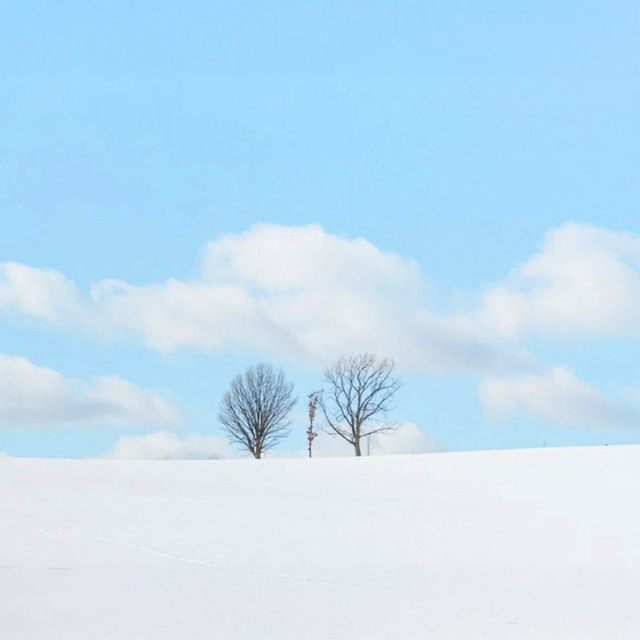 삿포로TV타워근처숙소