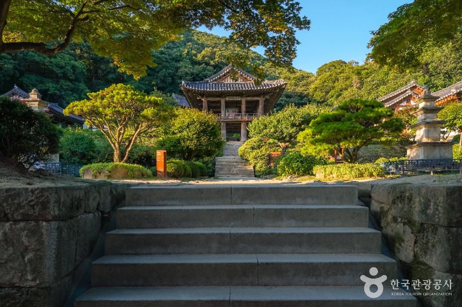 소백산풍기온천리조트