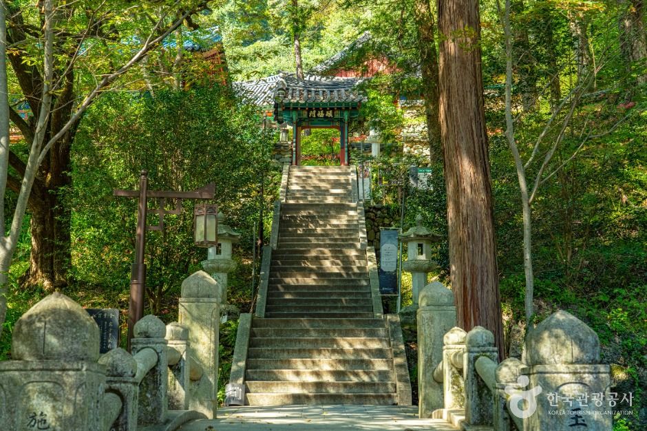 켄싱턴리조트지리산하동