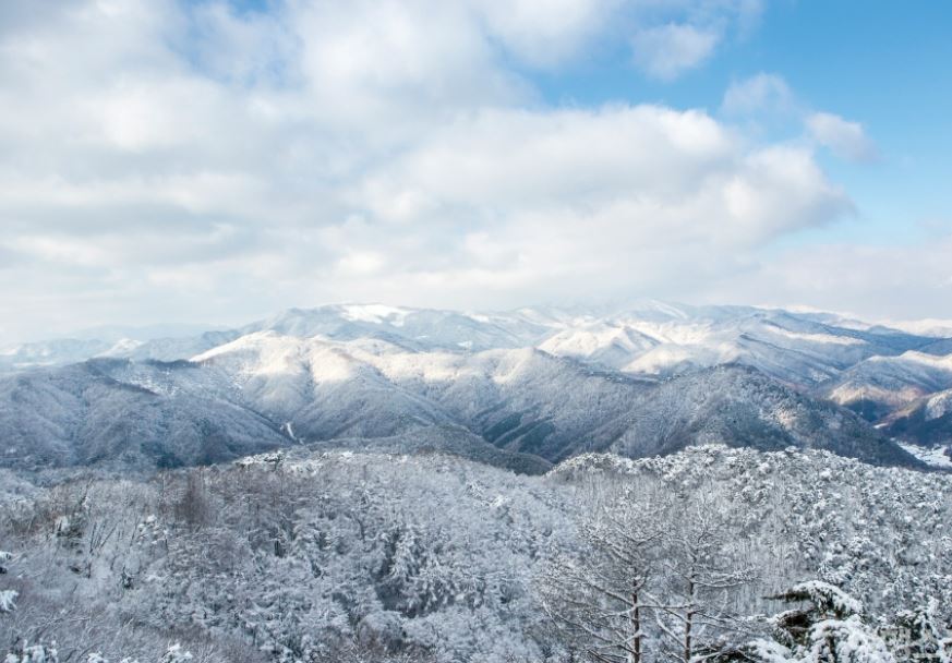 겨울 글램핑 여행지