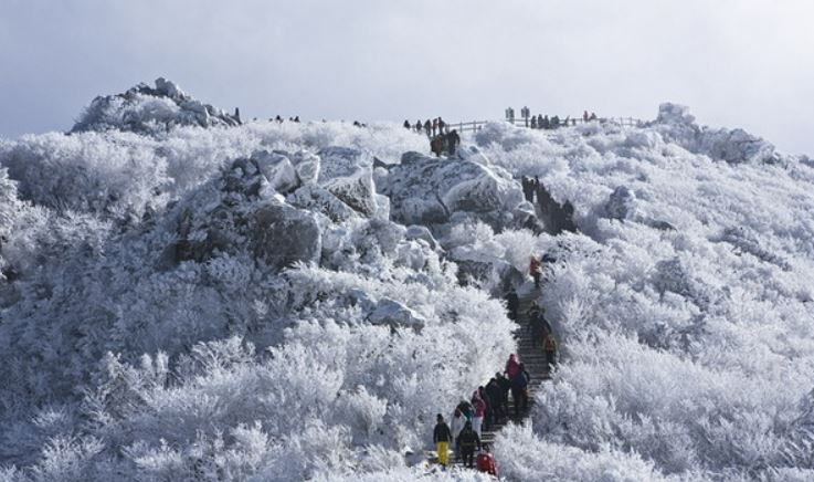 겨울 글램핑 여행지
