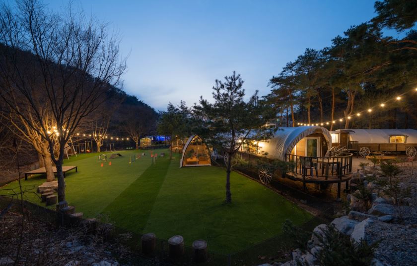 겨울 글램핑 여행지