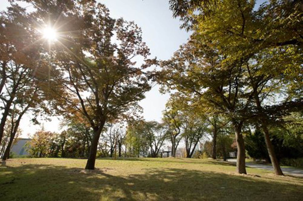 웨스턴 그레이스호텔