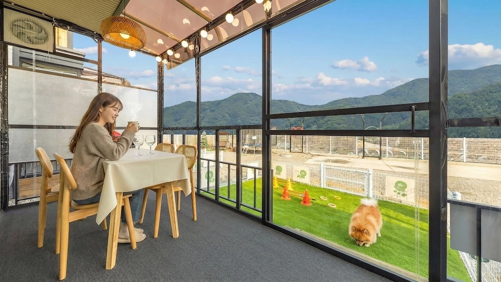 가평애견동반글램핑