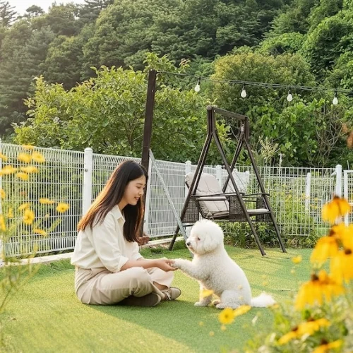 가평애견동반글램핑 TOP 4, 반려견과 함께 가평글램핑 여행