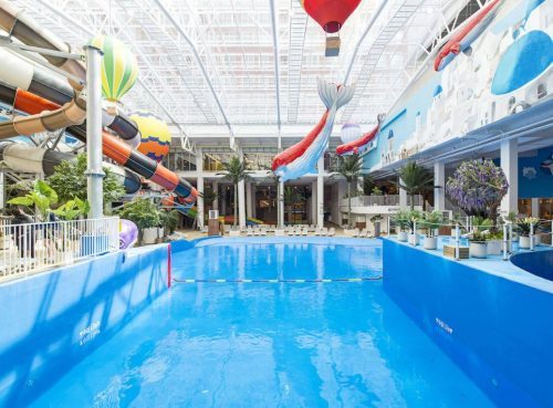 파크 하비오 호텔, 서울 송파에 위치한 도심 속 수영장호텔 추천